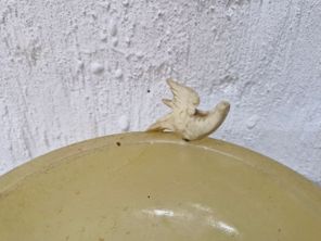 images