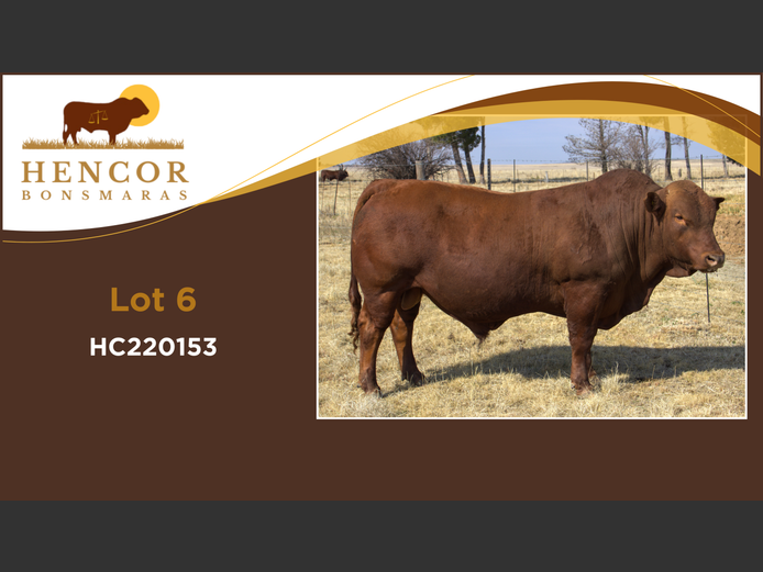 HC  220153 | HENCOR BOERDERY