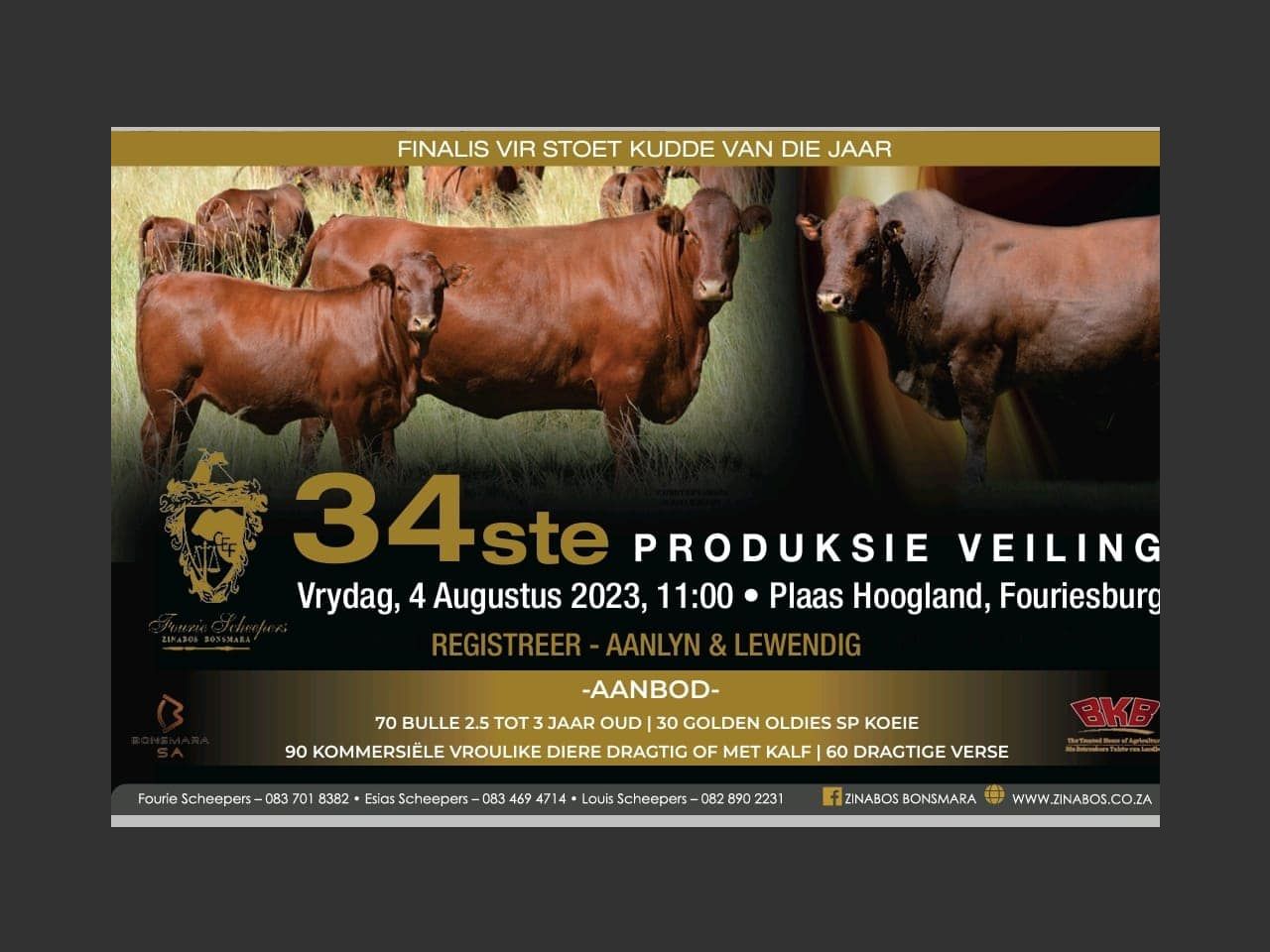 poster