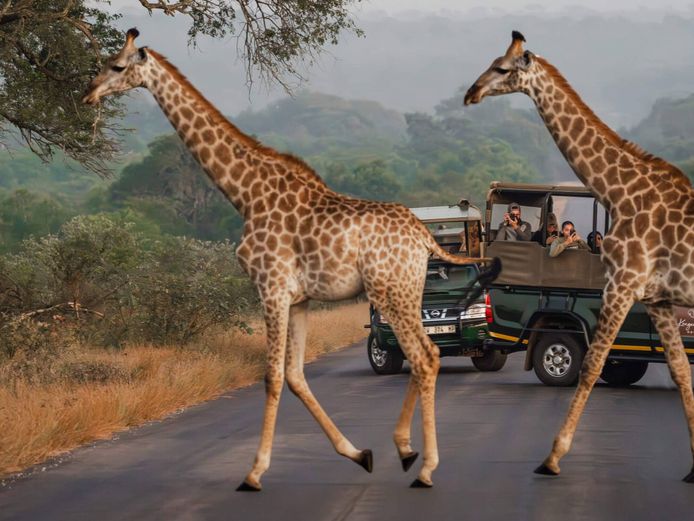 Kruger Gate Hotel Bundle