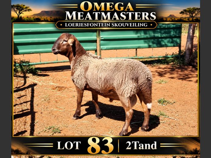 Omega Meatmasters