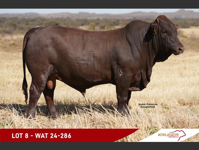 WAT240286 | KRUGER BOERDERY