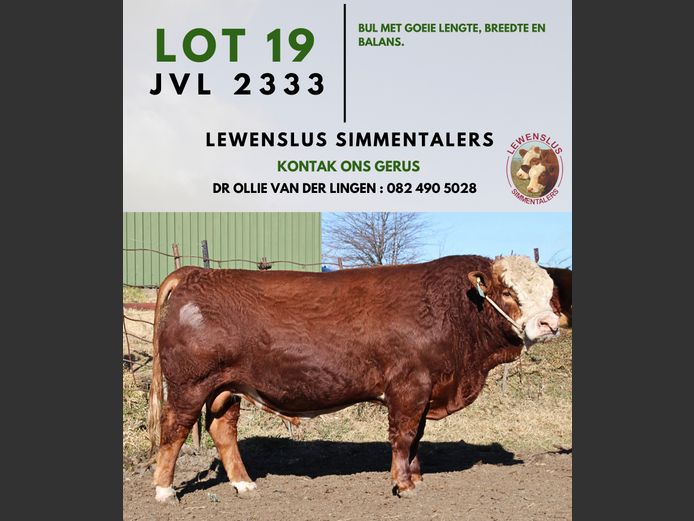 JVL2333 | DR JSH VAN DER LINGEN