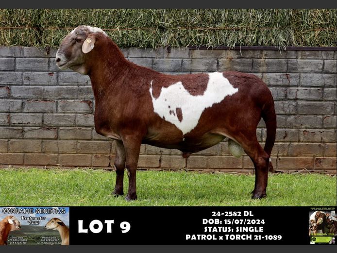 24-2582 DL | DAWID LOUW