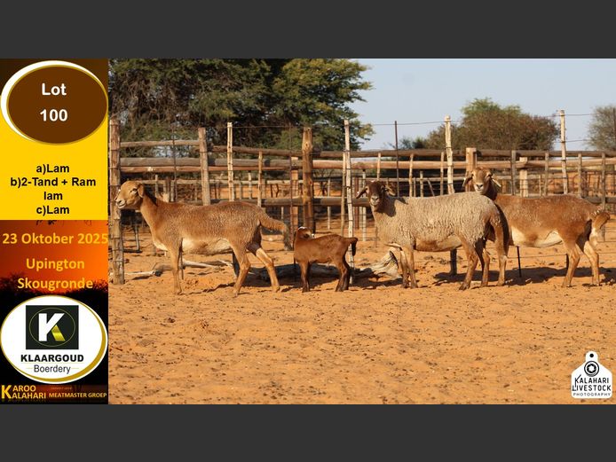 CP 100B | Chris Potgieter & Christia Scholtz - Klaargoud Boerdery