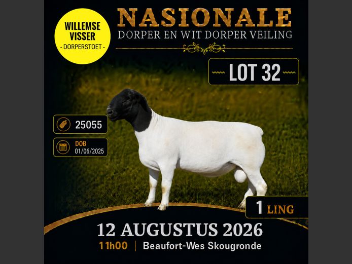 25 055 | W VISSER