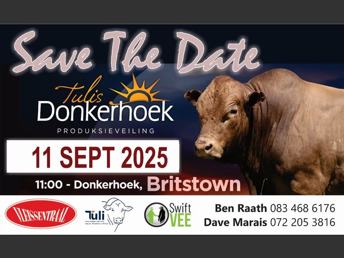 DONKERHOEK TULI'S PRODUKSIEVEILING
