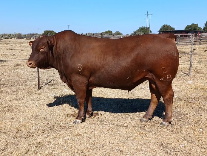 AB 220030 | CCR BEEF (PTY) LTD
