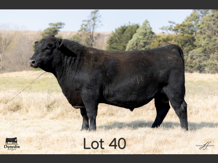 KCM 230044 | TABLE HILL FARMING PTY LTD
