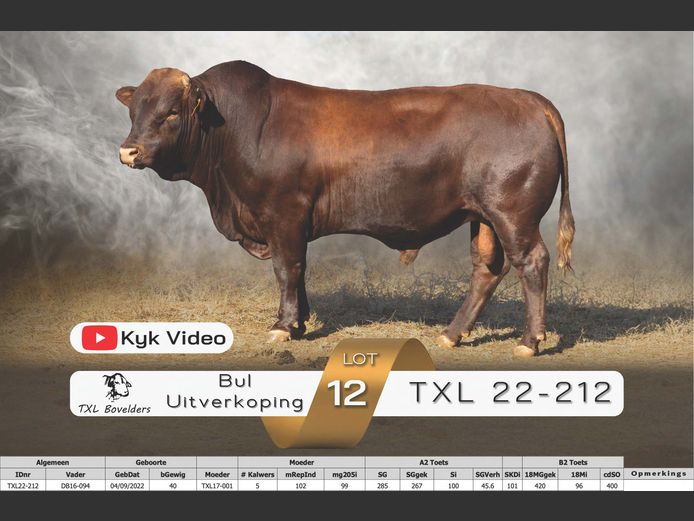 TXL22-212