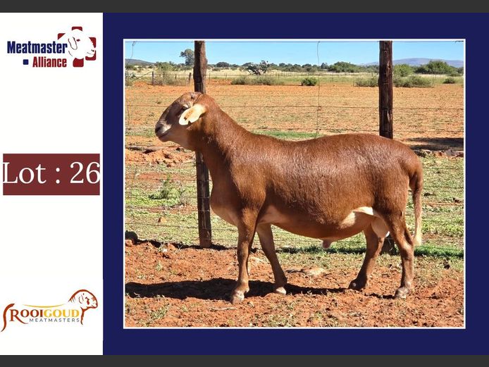 4321 | Rooigoud Meatmasters