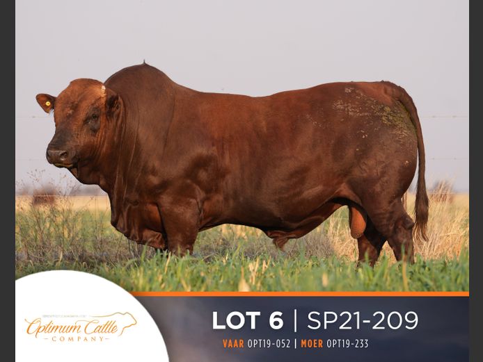 SP  210209