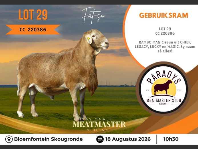 CC 220386 | PARADYS MEATMASTER STOET