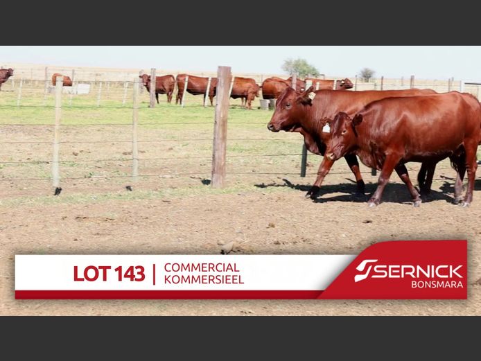 Commercial Animals