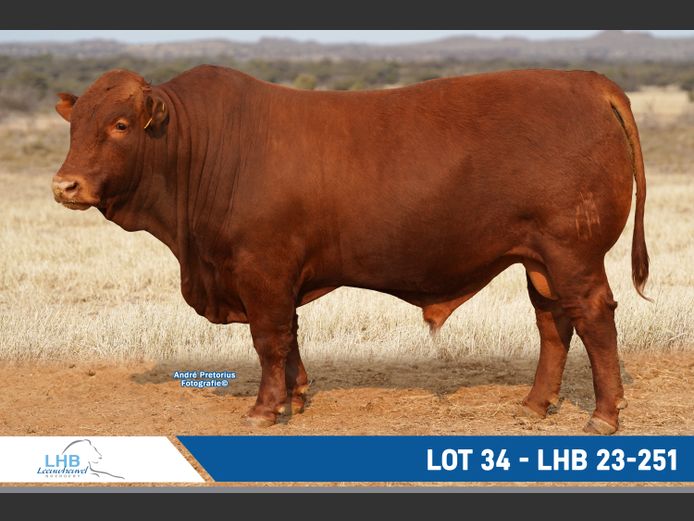 LHB230251 | LEEUHEUWEL BOERDERY (EDMS) BPK
