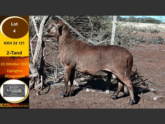 KKH 24.121 | Tommy Bissett - Klein Kalahari Meatmasters