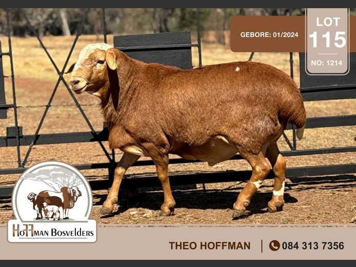 1214 | HOFFMAN BOSVELDERS