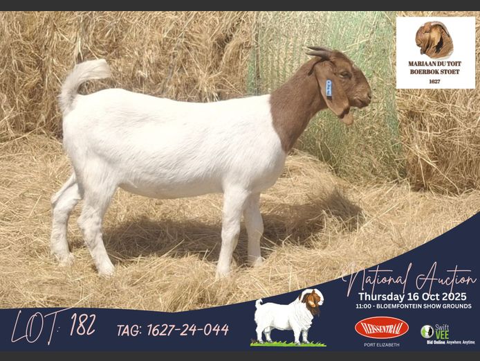 1627240044 | Mariaan du Toit (Mariaan du Toit Boerbokstoet - CMD AGRI (EDMS) )