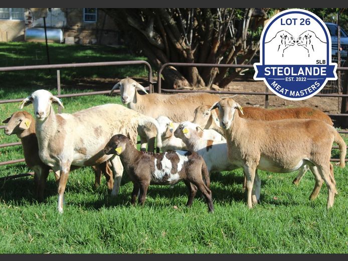SLB23-1051 | Steolande Boerdery