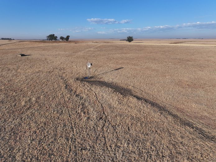 965.8311 Hectares - For Sale
