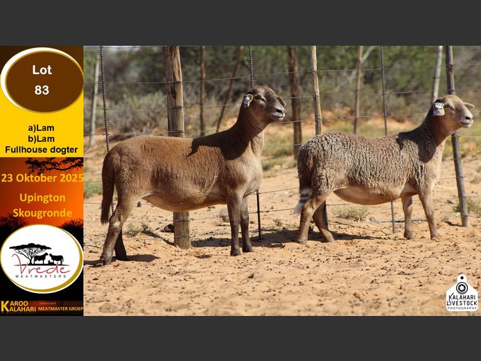 PS 83B | Peter & Christia Scholtz - Vrede Meatmasters