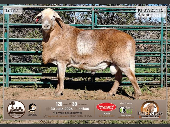 KPBW 1151 | Wynand Lourens - Kapokbos Meatmasters