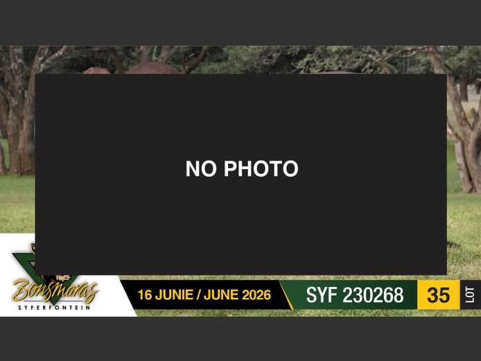 SYF230268 | SYFERFONTEIN BOERDERY