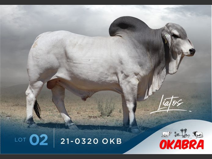 21-0320 OKB