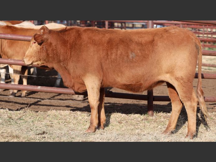 HBH 230048 | CLARK CATTLE COMPANY PTY LTD