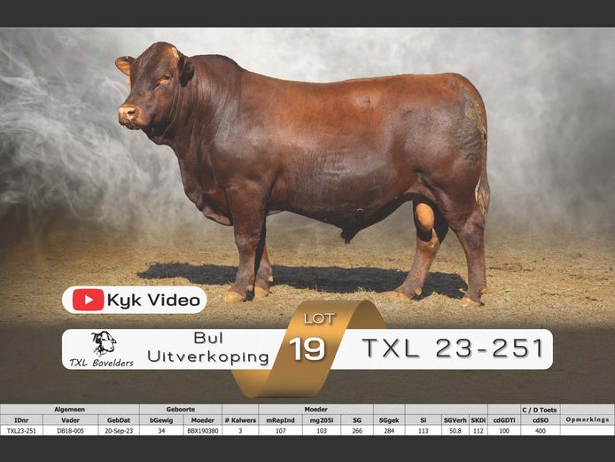 TXL23-251