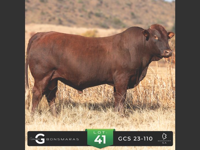 GCS 230110 | G.C. STANFORD