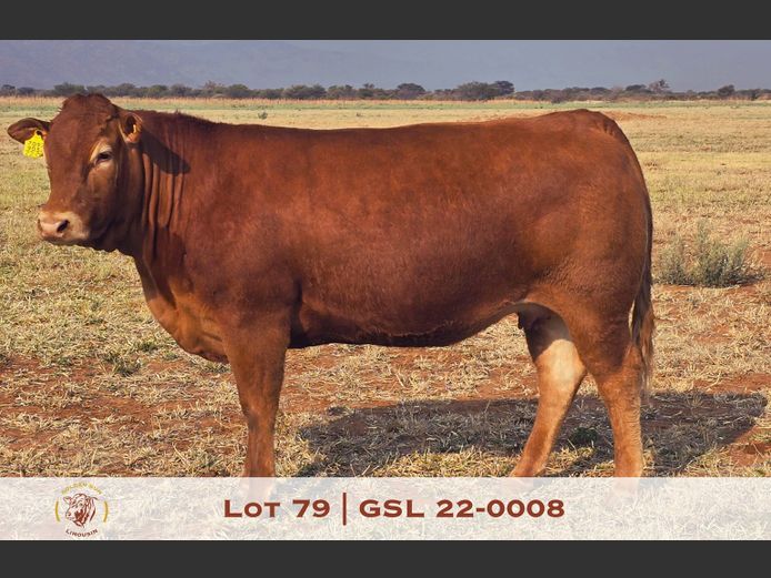 22-0008GSL | GOLDEN-SUN LIMOUSINES
