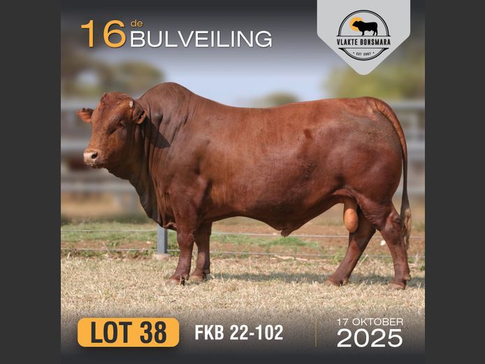 FKB 220102 | FRITS KROON BOERDERY