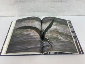 images