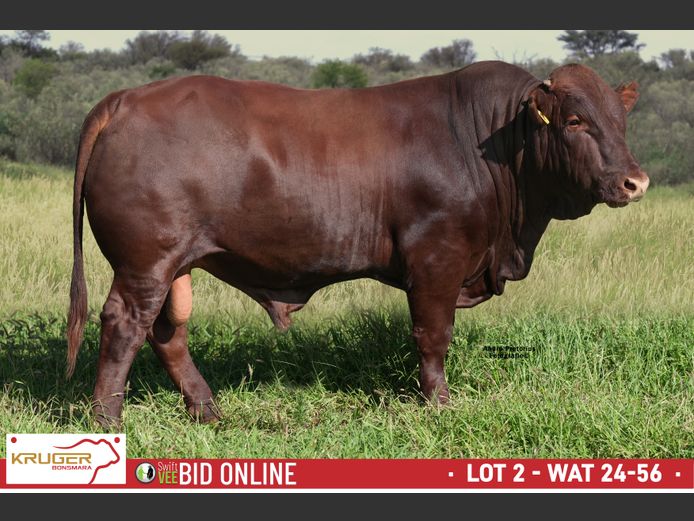 WAT 240056 | KRUGER BOERDERY