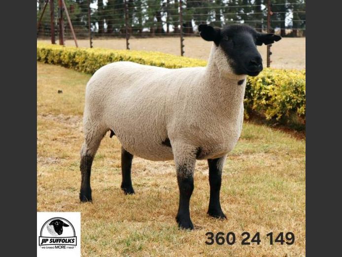 360240149 | J.I. POTGIETER
