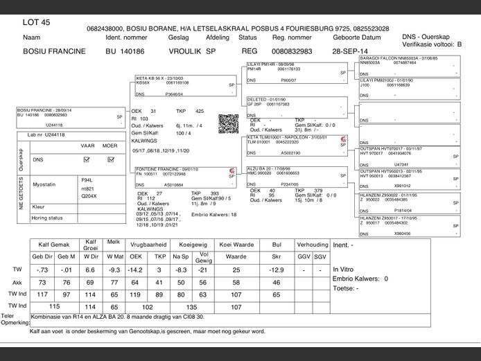 BU  140186