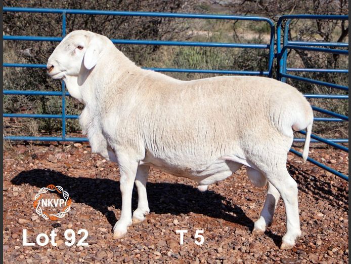 34250068 | MNR. LOUIS VAN RENSBURG, H/A LEEUPUT TRUST