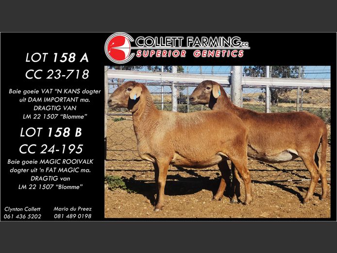 CC 230718 | COLLETT FARMING CC
