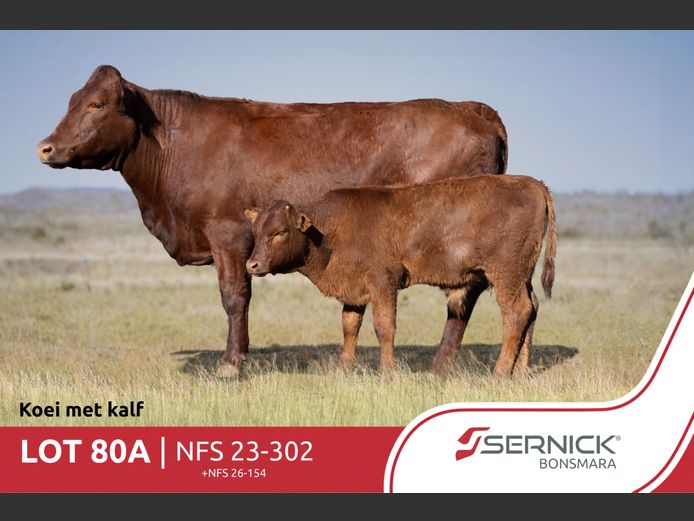 NFS 230302 | SERNICK BONSMARA STOET