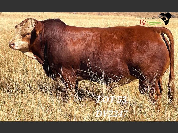 DV2247 | DE VILLE BOERDERY (EDMS) BPK