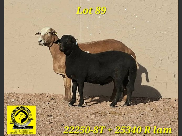 VERLAND MEATMASTERS | 22250