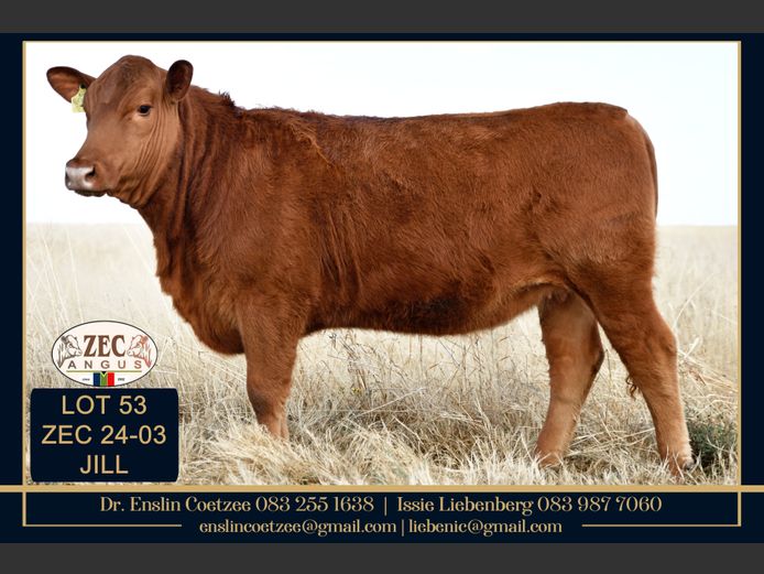 ZEC 240005 | Z.E. COETZEE