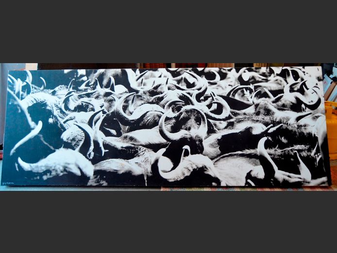 LARGE PHOTOGRAPHIC PRINT OF BUFFALO BY GREG ANDERSON, 284 x 102cm