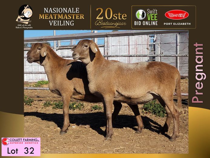 M 25 101 | La Rochelle Genetics
