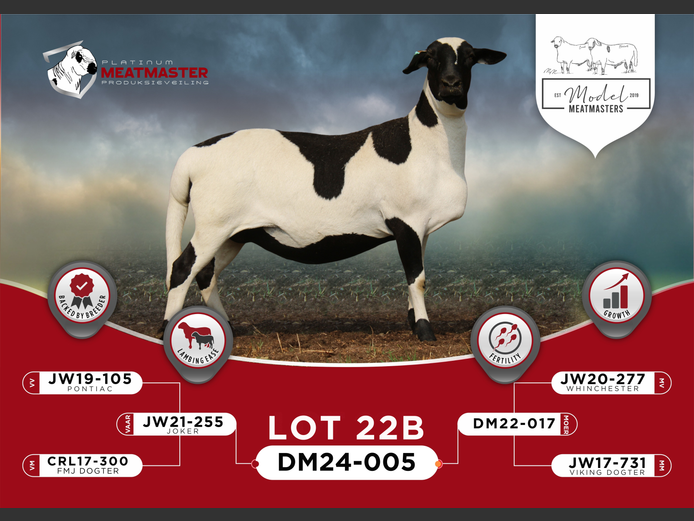 DM 24-0005 | Mario Marais - Model Meatmasters, Britz
