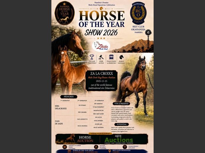 Dr Stephan vd Westhuizen, Zikida Arab Stud | HORSE OF THE YEAR AUCTION