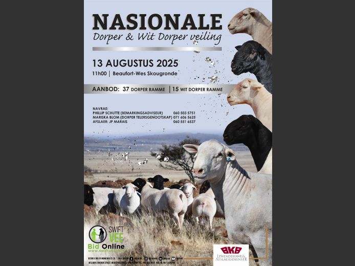 NASIONALE DORPER & WIT DORPER VEILING