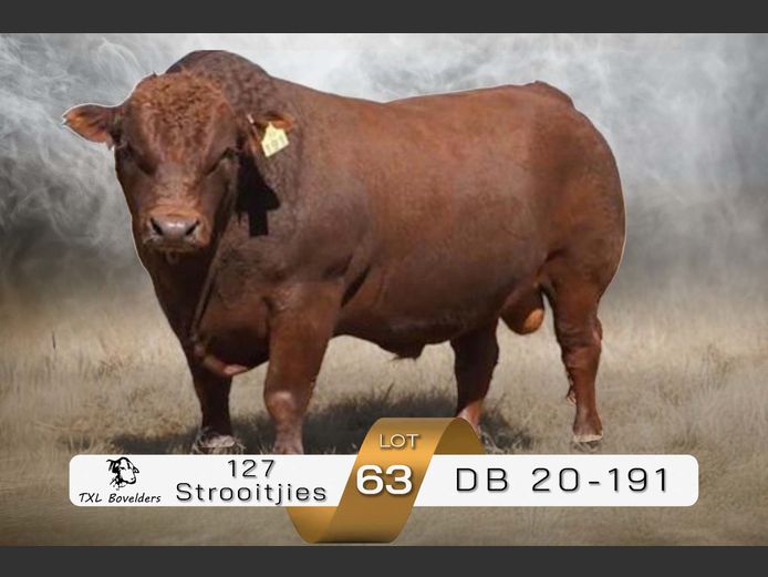 SEMEN | DB 20-191