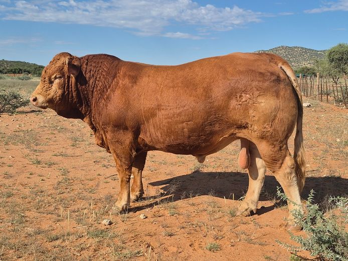 23-0001DNCL | DANECO LIMOUSIN STOET